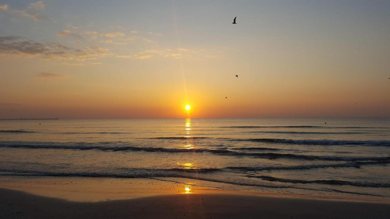 Sea North Apartament Mamaia Εξωτερικό φωτογραφία