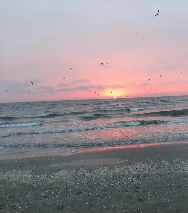 Sea North Apartament Mamaia Εξωτερικό φωτογραφία